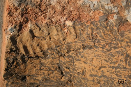 Click to zoom the picture.